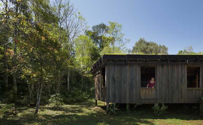 Wooden building with trees